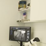 20250522_113936800_iOS